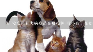 安庆市狂犬病疫苗在哪接种 我小孩子在郑州被狗咬了