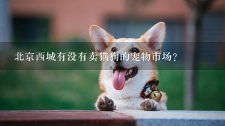 北京西城有没有卖猫狗的宠物市场？