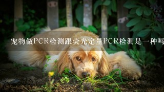 宠物做PCR检测跟荧光定量PCR检测是一种吗还是两种有区别的？