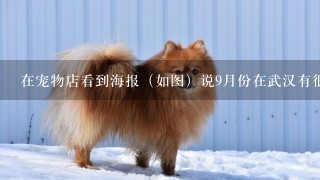在宠物店看到海报（如图）说9月份在武汉有很大型的宠物展会？有知道