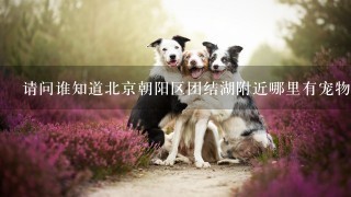 请问谁知道北京朝阳区团结湖附近哪里有宠物医院