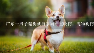 广东一男子遛狗被自家狗严重咬伤，宠物狗伤人事件为
