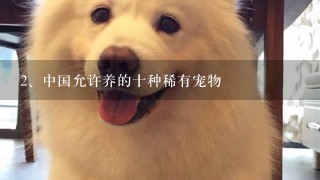 中国允许养的十种稀有宠物