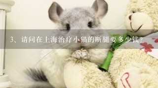 请问在上海治疗小猫的断腿要多少钱？