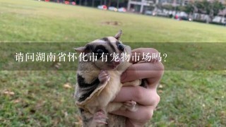 请问湖南省怀化市有宠物市场吗？
