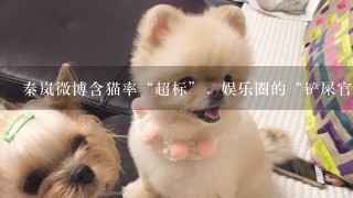 秦岚微博含猫率“超标”，娱乐圈的“铲屎官”都有哪