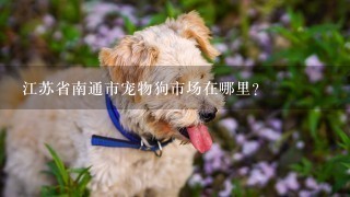 江苏省南通市宠物狗市场在哪里？