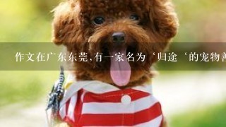作文在广东东莞,有一家名为‘归途‘的宠物善终服务