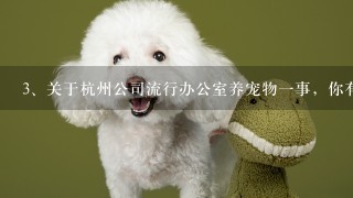 关于杭州公司流行办公室养宠物一事，你有何看法？