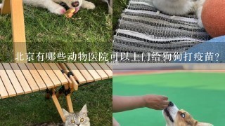 北京有哪些动物医院可以上门给狗狗打疫苗？