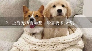 上海宠物店加盟一般需要多少钱？
