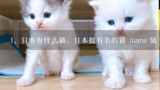 日本有什么猫，日本挺有名的猫 maru 属于什么品种》