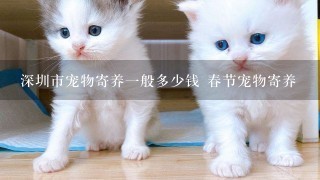 深圳市宠物寄养一般多少钱 春节宠物寄养