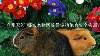 广州天河 哪家宠物医院做宠物绝育安全实惠？谢绝广告！