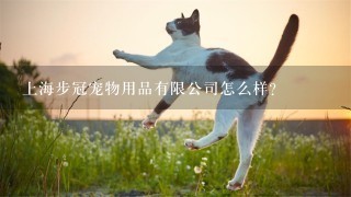 上海步冠宠物用品有限公司怎么样？