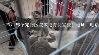 深圳哪个宠物医院做绝育便宜些？地址，电话，价格