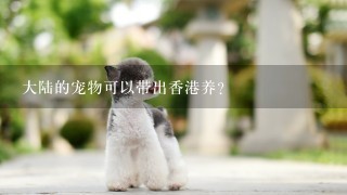 大陆的宠物可以带出香港养？