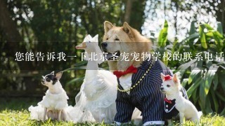 您能告诉我一下北京圣宠宠物学校的联系电话吗？