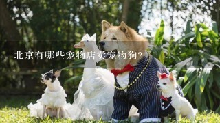 北京有哪些宠物店卖宠物狗