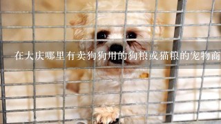 在大庆哪里有卖狗狗用的狗粮或猫粮的宠物商店
