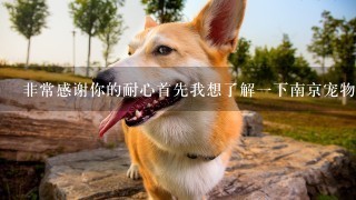 非常感谢你的耐心首先我想了解一下南京宠物生活馆这个项目是什么时候开始运营的