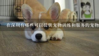 在深圳有哪些可以提供宠物训练和服务的宠物培训机构