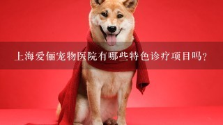 上海爱俪宠物医院有哪些特色诊疗项目吗