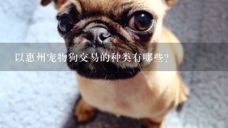 以惠州宠物狗交易的种类有哪些?
